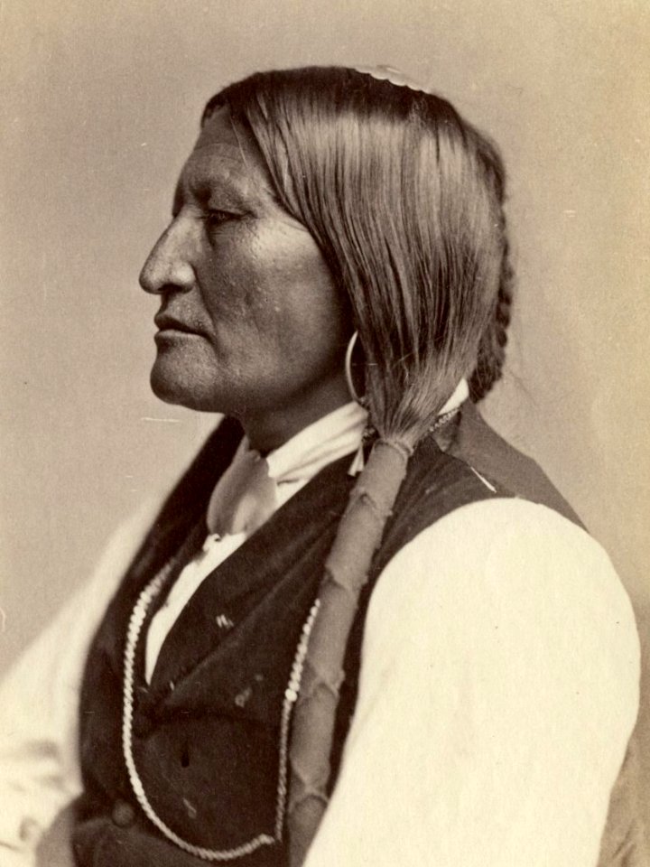 Bird chief, Arapaho (cropped)