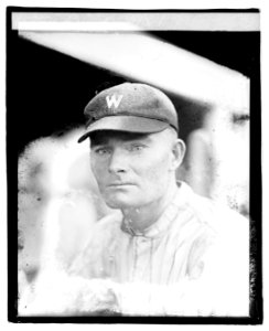 Bird, 1921 LOC npcc.05022