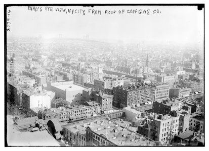 Birds eye view of N.Y.C. from roof of Cons. Gas Co's Bldg. LCCN2014693751