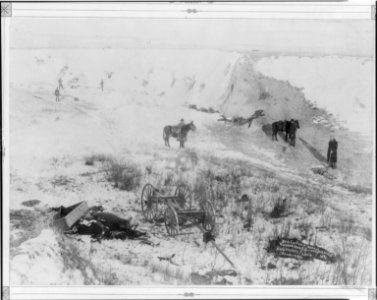 Birds-eye view of canyon at Wounded Knee, S.D. LCCN2007681570