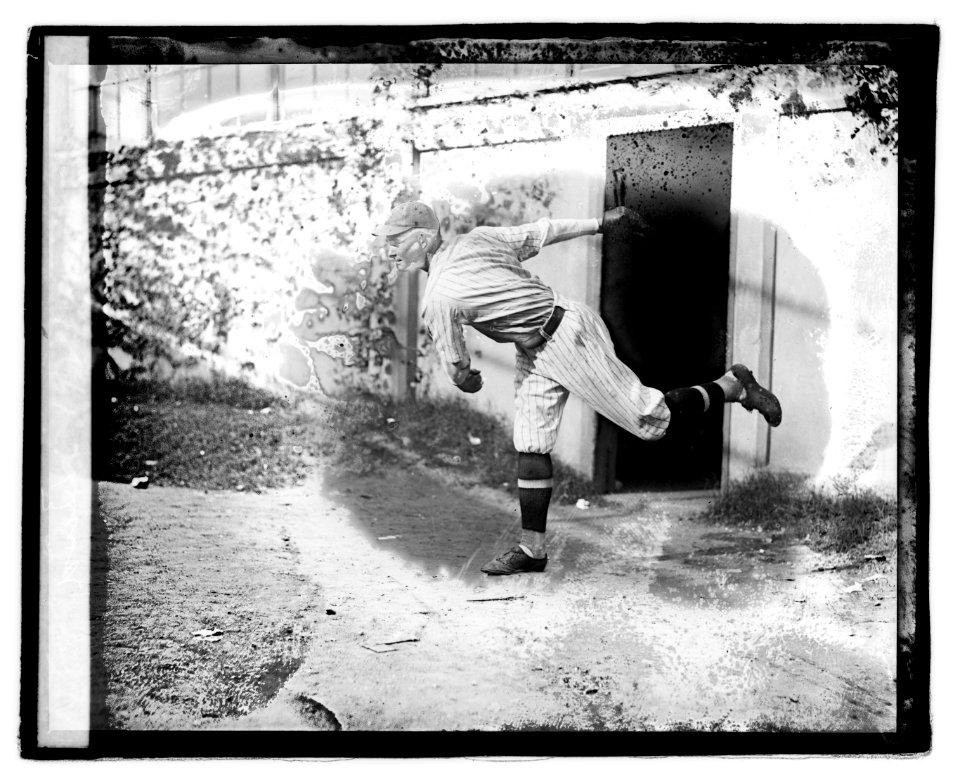 Bird, 1921 LOC npcc.05023