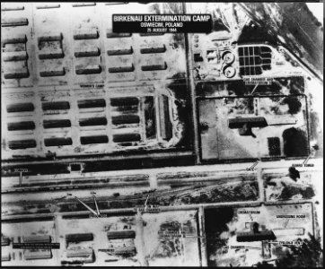 Birkenau Extermination Camp - Oswiecim, Poland - NARA - 305900