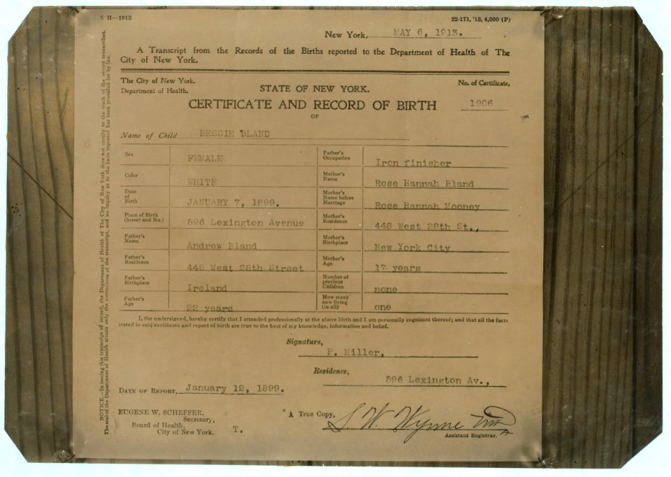 Birth certificate in the State of New York. LOC nclc.04886