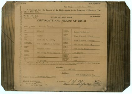 Birth certificate in the State of New York. LOC nclc.04886