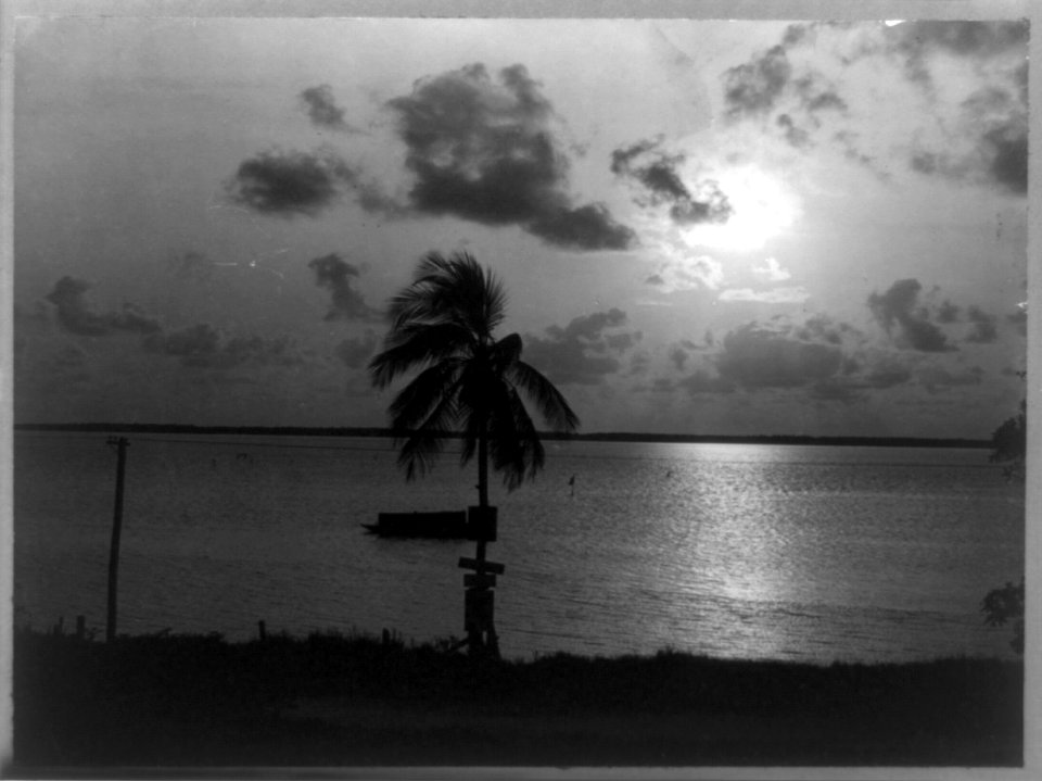 Biscayne Bay by moonlight, Miami, Florida LCCN96510083