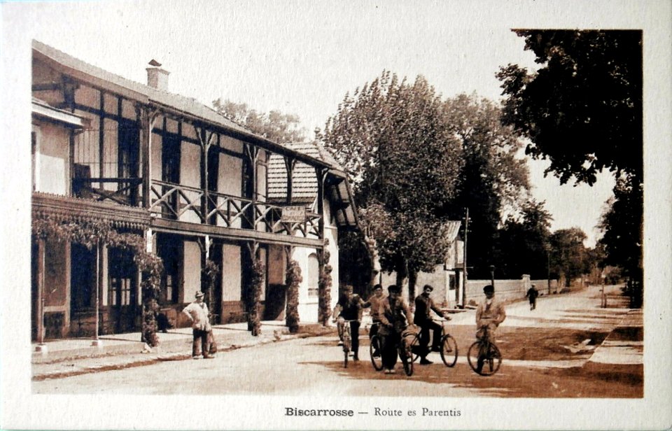 Biscarrosse (Landes) - avenue de Parentis 2