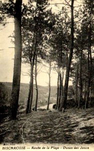 Biscarrosse (Landes) - route de la plage 3