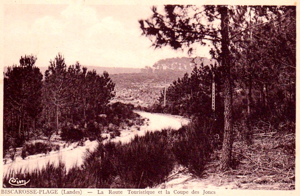 Biscarrosse (Landes) - route de la plage 1