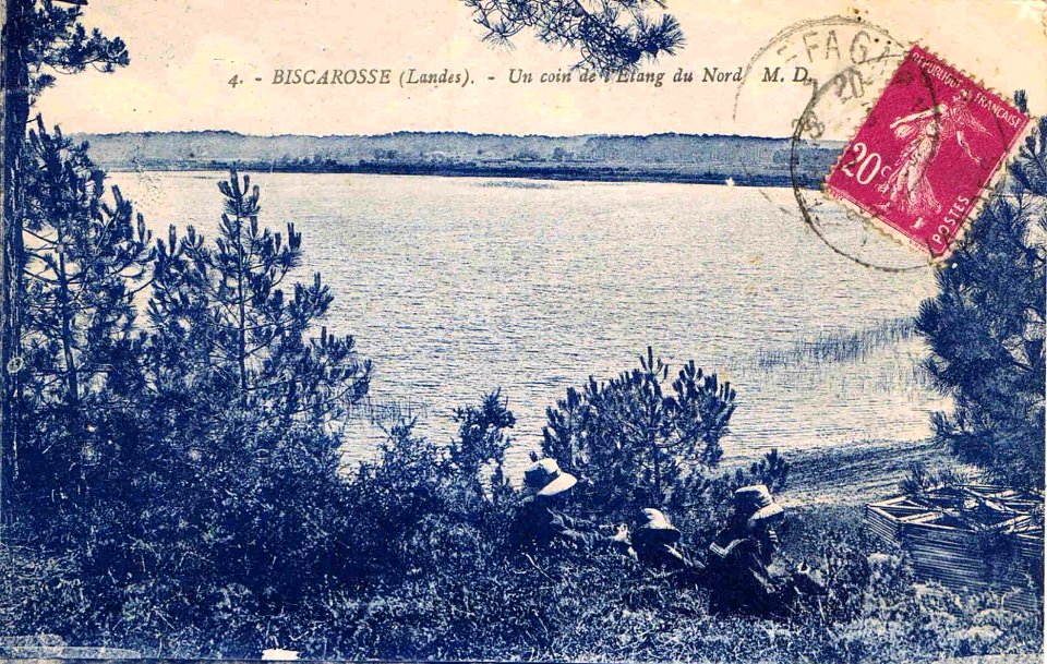 Biscarrosse (Landes) - l'étang 3