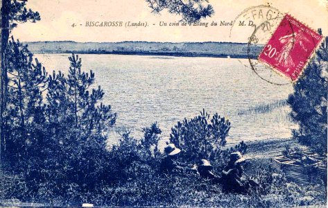 Biscarrosse (Landes) - l'étang 3