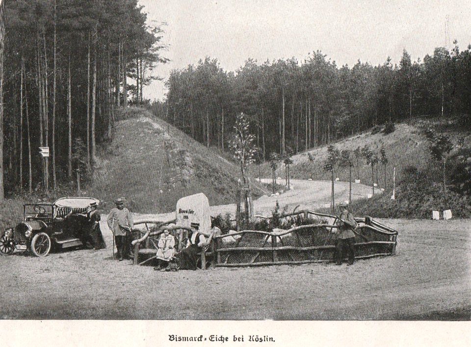 Bismarck-Eiche bei Köslin