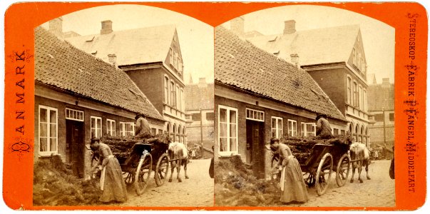 Bispegade, Ribe 1892