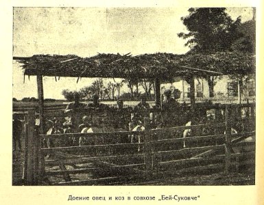 Biy Su Kovche 1925 2
