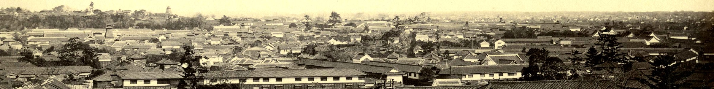 Bjh26 YedoBay det top