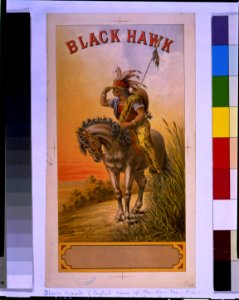 Black Hawk LCCN95502157
