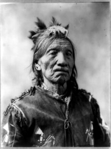 Black Horse, head and shoulders portrait, facing right LCCN92508799