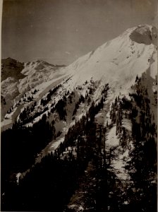 C.Alta, Mr.Pizul, Mte, Zermula, Lanzenpass, aus der Trogstellung ca.200 m tiefer. (BildID 15483497)