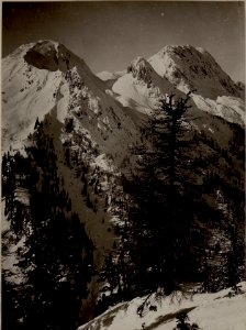 C.Alta, Mt.Pizul, Mt.Zermula, Lanzenpass, aus der Trogstellung cca.200 m tiefer. (BildID 15483504)