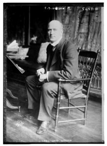 C.D. Gibson LCCN2014711417