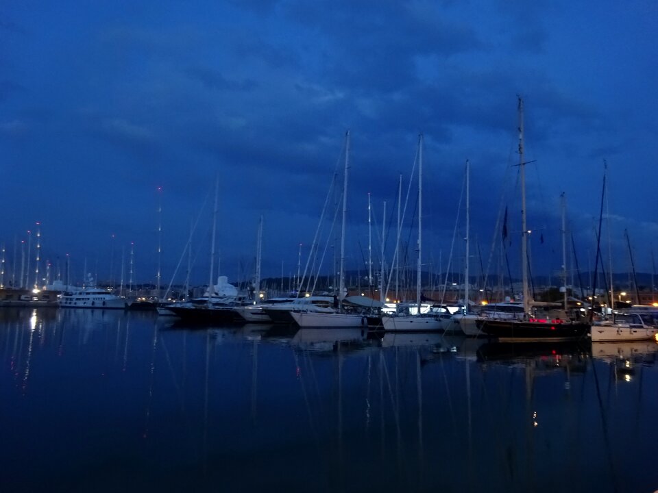 Night palma dique del oeste
