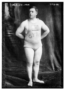 C.H.F. Sullivan LCCN2014710640