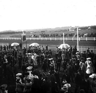 C10f100. Hipódromo de Maroñas 4