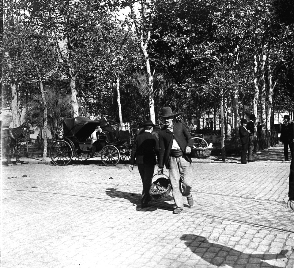 C05f046. Vendedor con canasta en Plaza de Cagancha