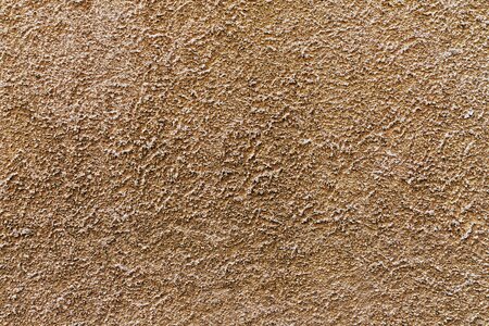 Scratch plaster textured plaster wall