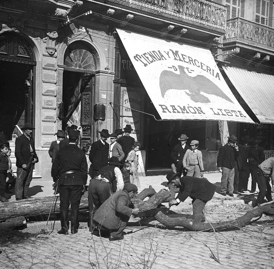 C05f049. Aserrando árbol frente a la tienda R. Lista