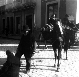 C07f066. Lechero a caballo y lustrabotas