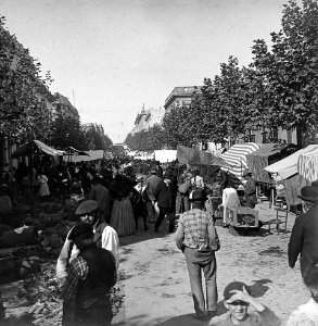 C08f081. Feria de Ibicuy 9