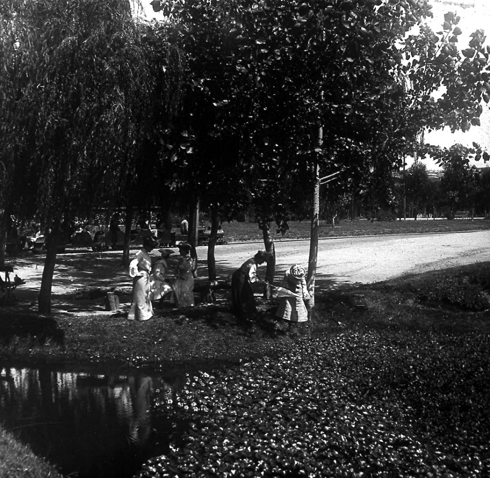 C16f158.Un día de pic-nic en parque