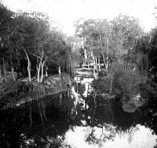 C17f159. Arroyo de La Estanzuela