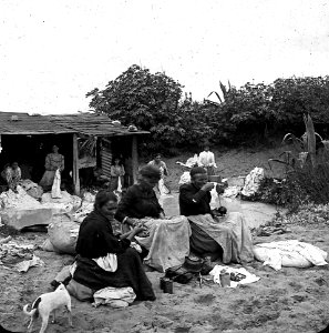 C18f175.Lavanderas de arroyo de los Pocitos