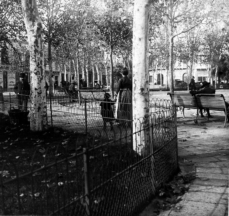 C13f119.Plaza de Cagancha 1