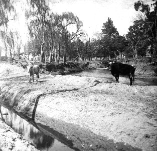C17f161.Arroyo de La Estanzuela