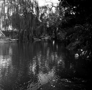 C19f179.Arroyo Miguelete.Vista