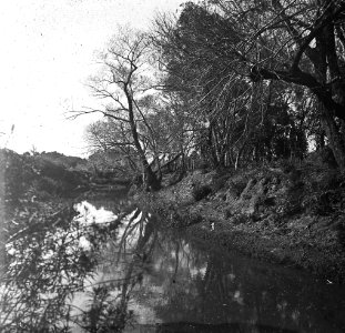 C18f173.Arroyo