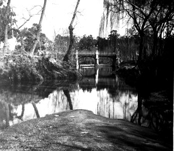 C20f191. Prado, Puente de Bushental