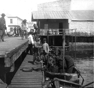 C25f243. Muelle, Descargando bolsas
