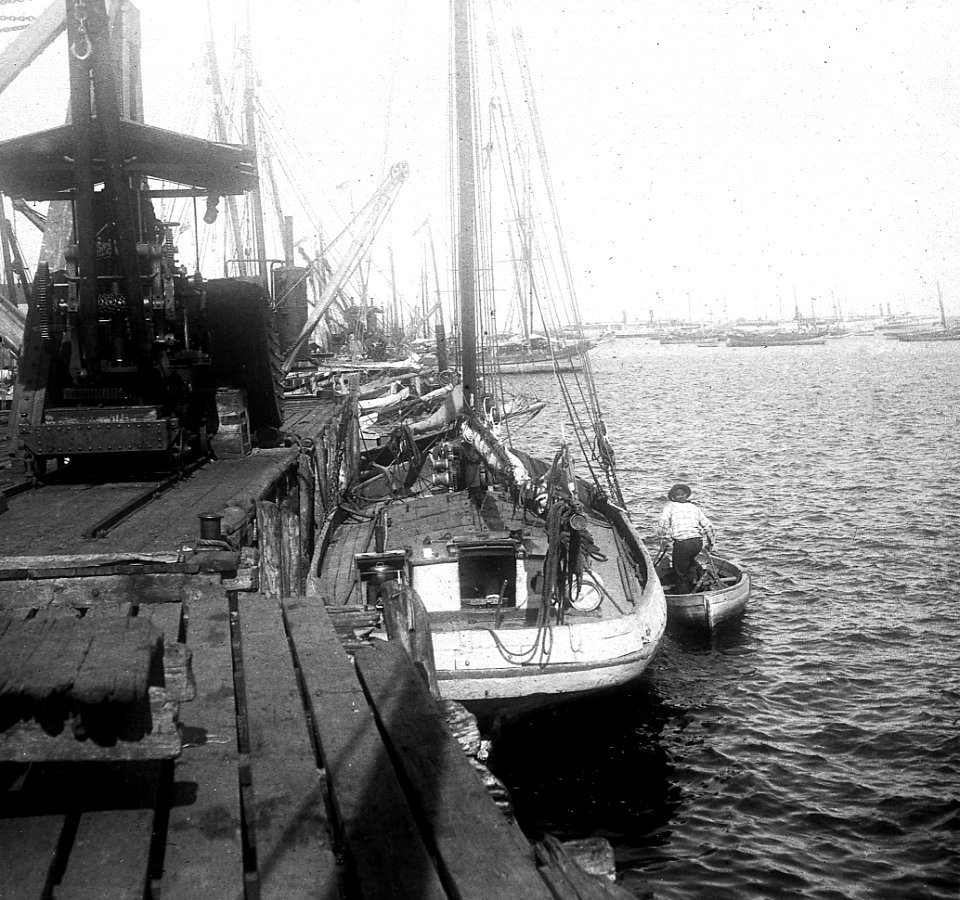 C21f202. Velero junto a una grúa. Puerto