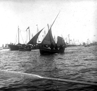 C22f214. Veleros en la bahía