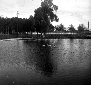 C29f287. Zona del Parque Capurro
