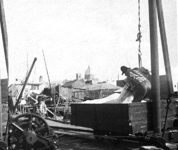 C25f244. Muelle de descarga