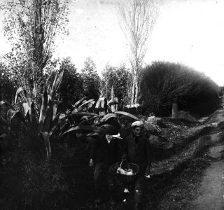 C32f318. Dos niños con canasto