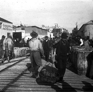 C26f253. Vendedores y estibadores sobre el muelle de Florida