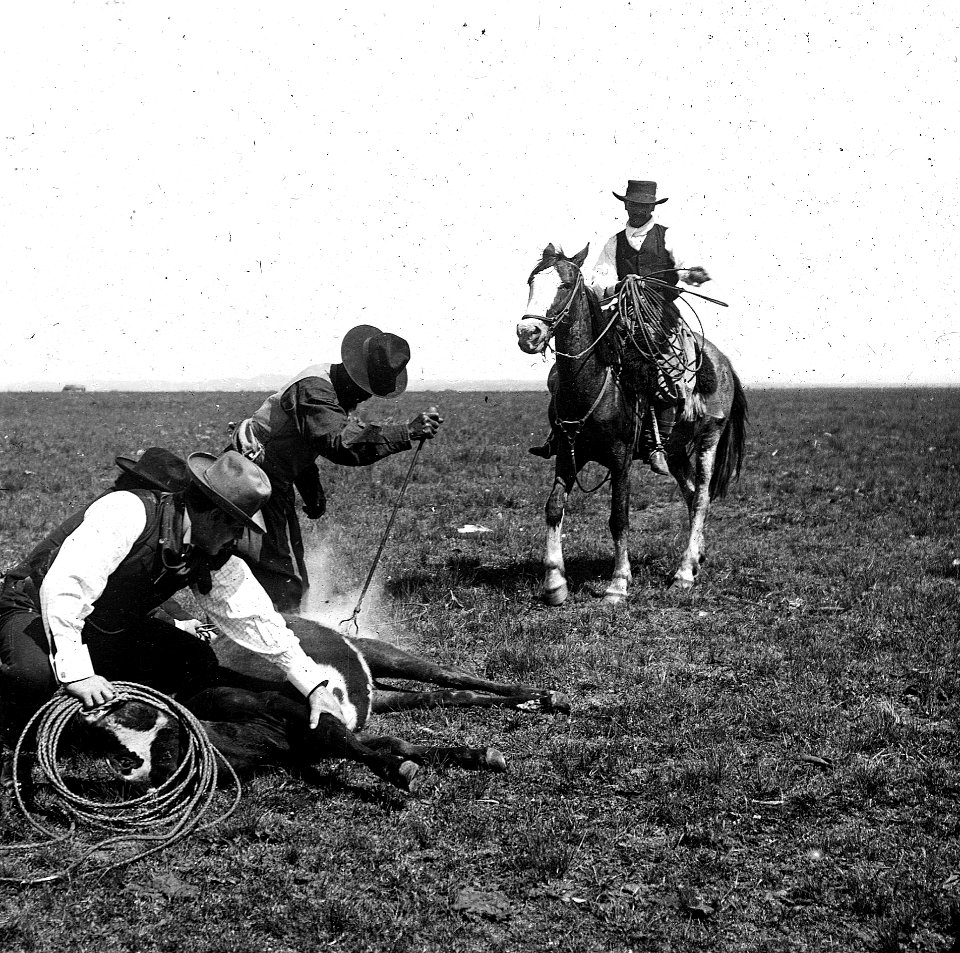 C34f334. Marcando un caballo