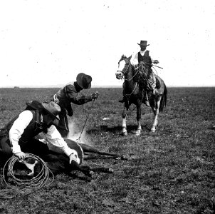 C34f334. Marcando un caballo