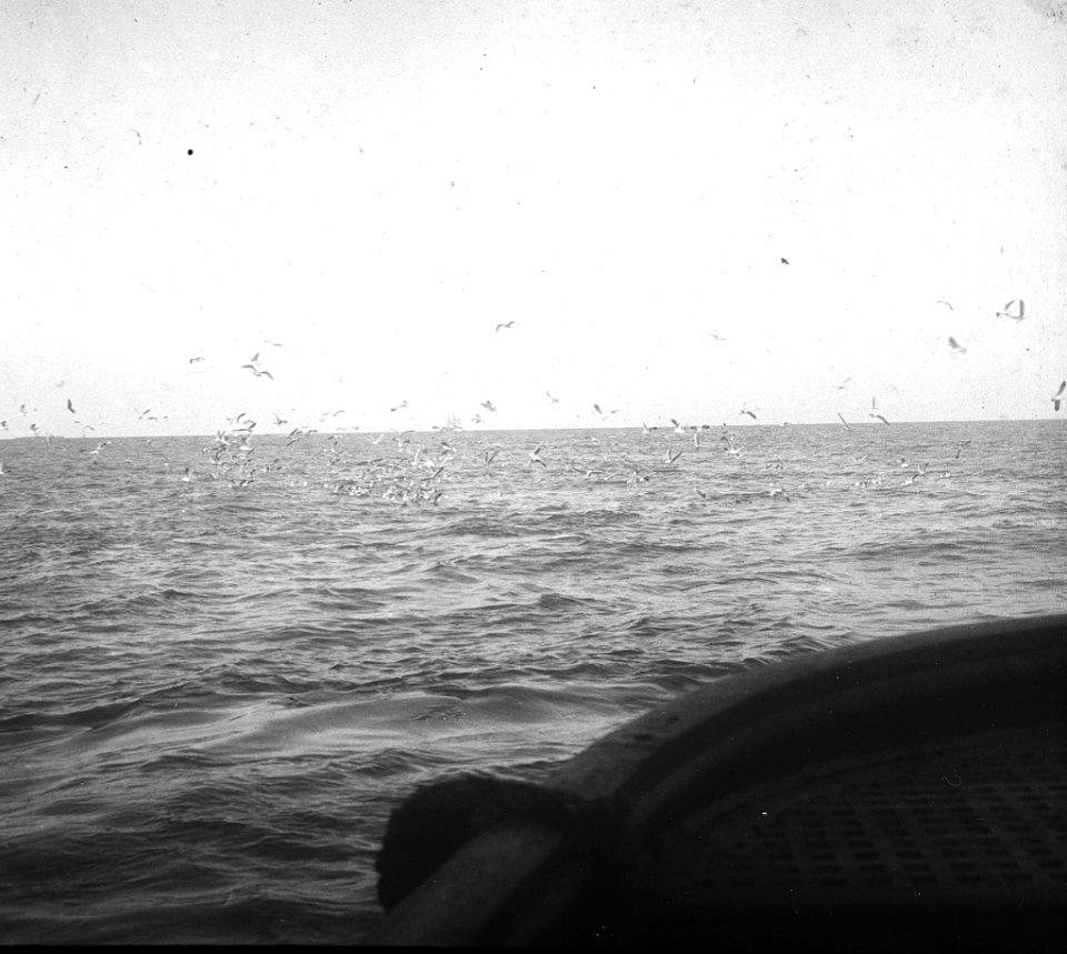 C29f288. Proa de un barco en alta mar