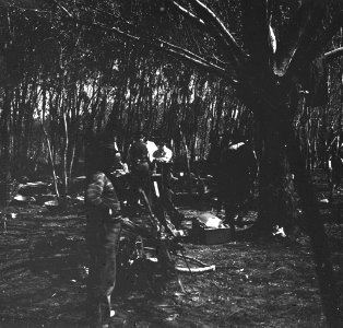 C31f303.Comida campestre 2